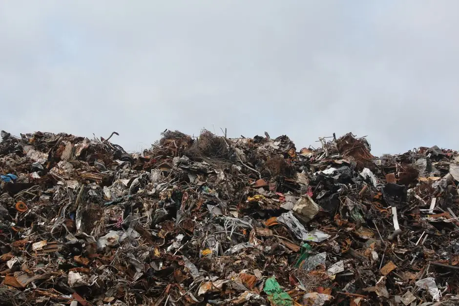 What to expect during a hoarding cleanup in Littleton Village